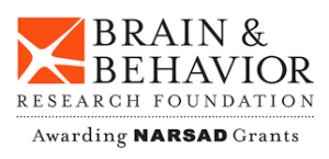 brain-behavior-research-foundation-2017-logo