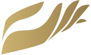 Rescue America 2021 logo