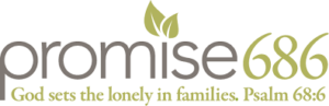 Promise686 2022 logo