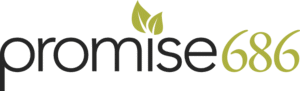 Promise686 2026 logo