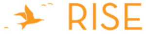 RISE 2023 logo