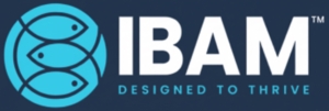 International Business as Mission 2026 logo