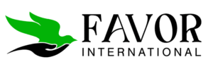 Favor International 2026 logo